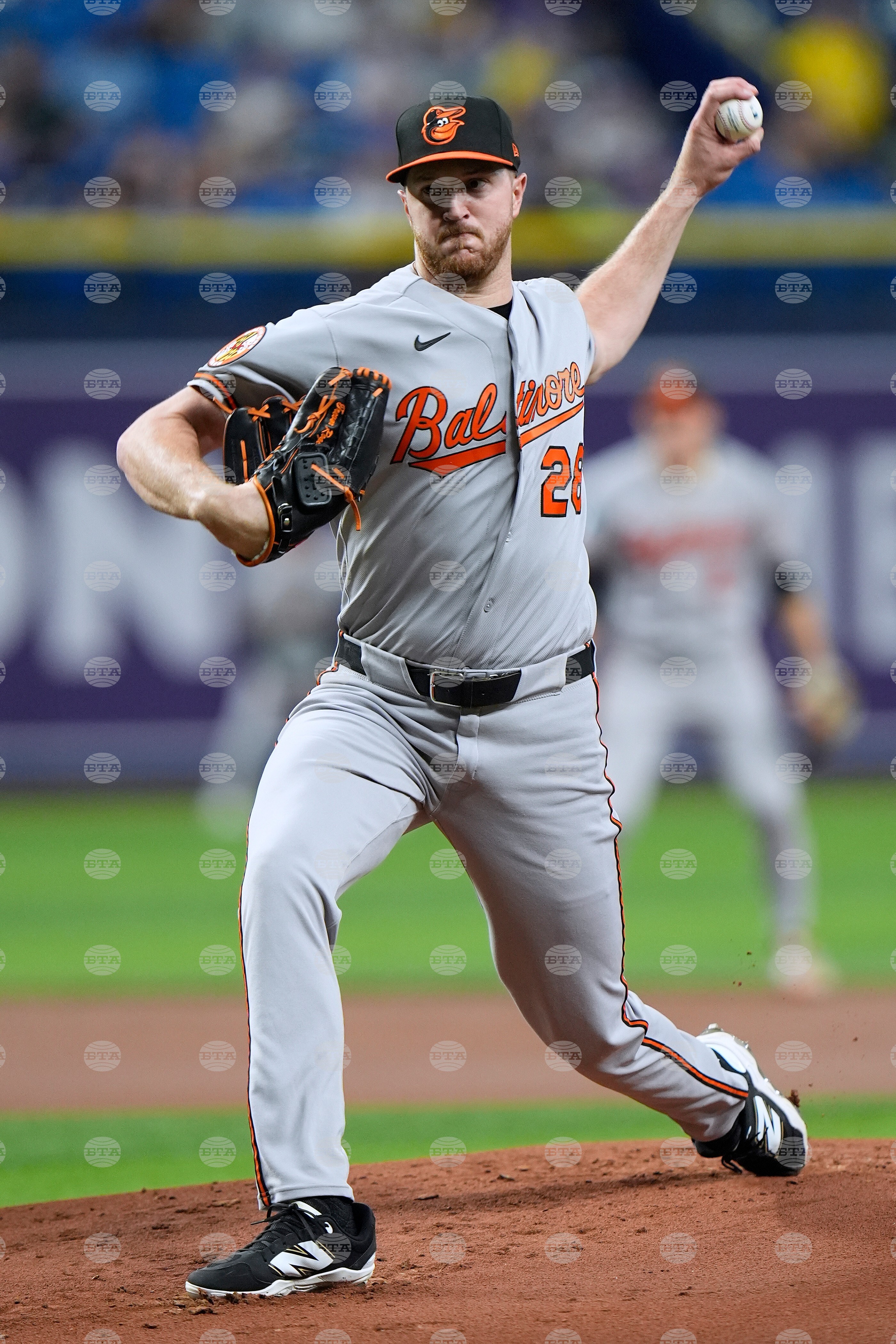 Orioles Rays Baseball