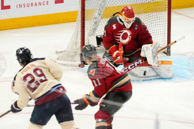 PWHL Victoire Charge Hockey