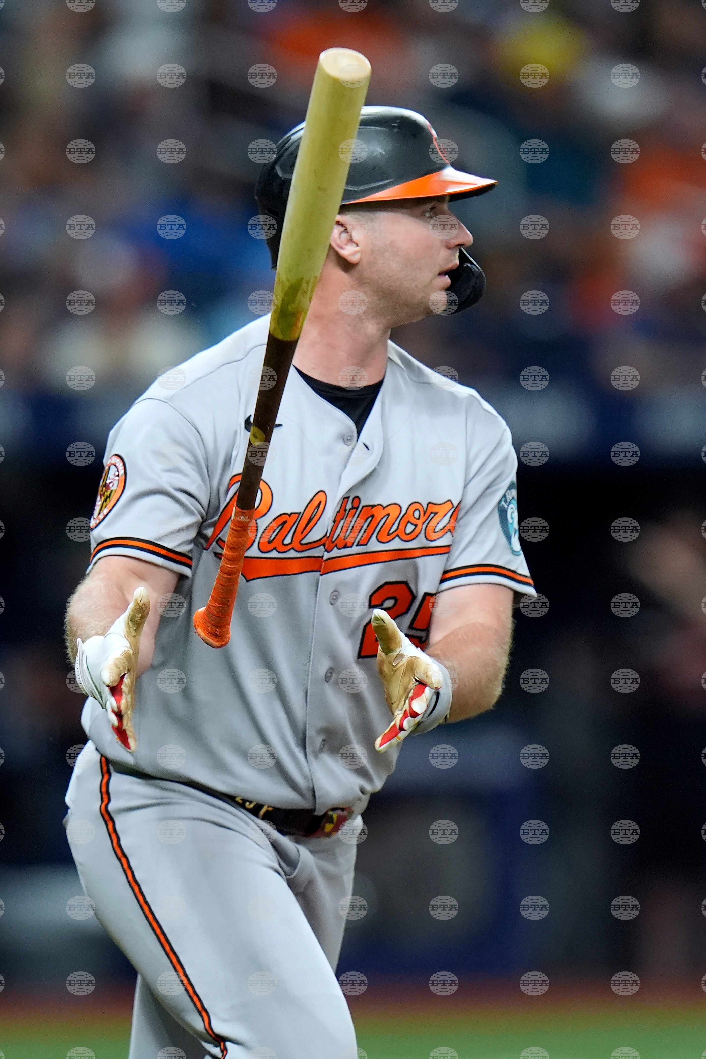 Orioles Rays Baseball