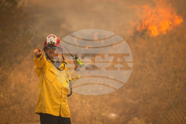 California Wildfires