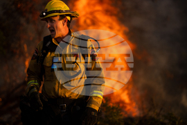 California Wildfires