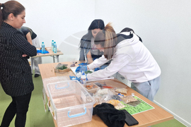 Разград - конкурс - даровете на земята