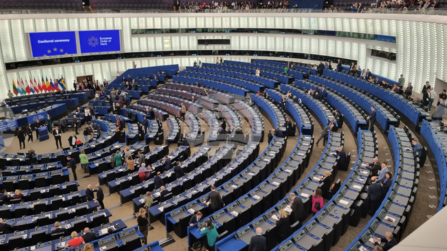 Bulgarian MEPs Condemn Arson Attack on Embassy Vehicles in Skopje
