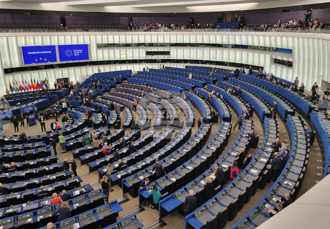Bulgarian MEPs Condemn Arson Attack on Embassy Vehicles in Skopje