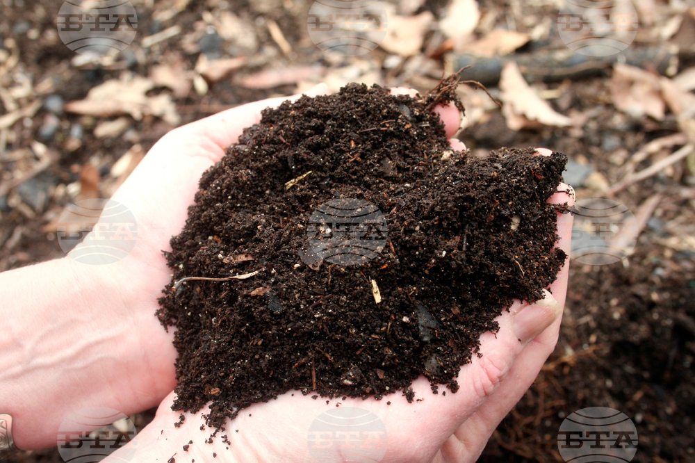 Gardening Mulch