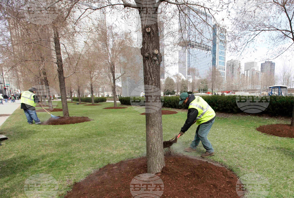 Gardening Mulch