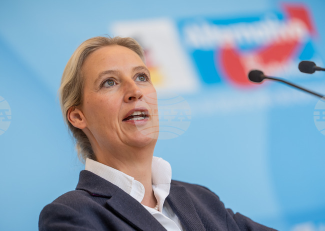 Germany Politics