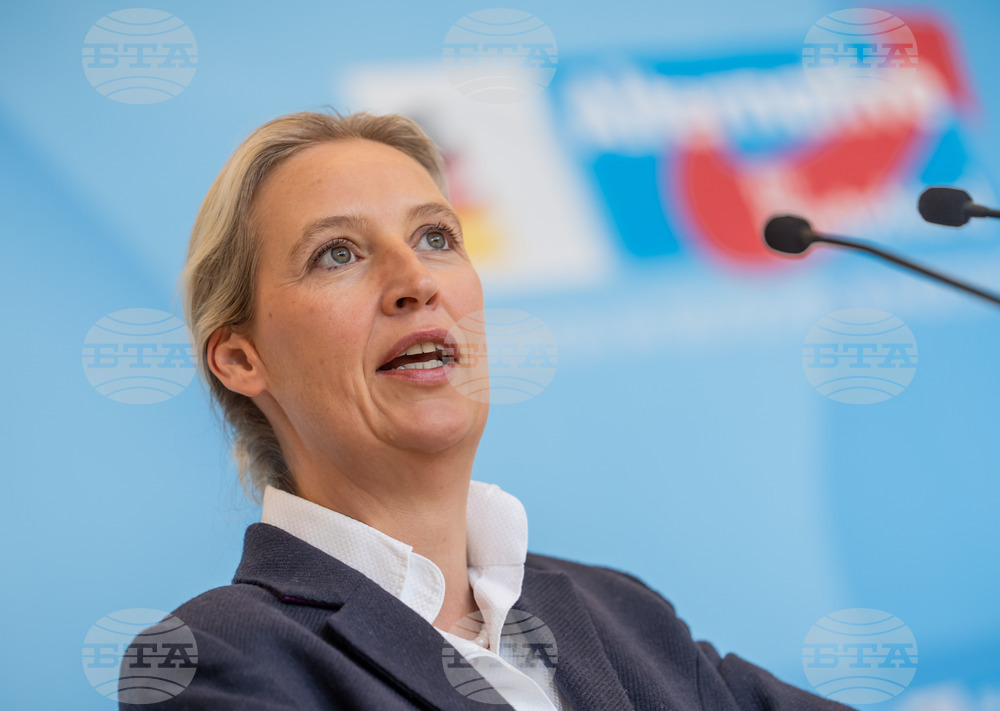 Germany Politics