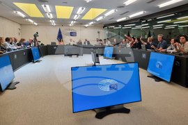 Страсбург - Европейски парламент - Лех Валенса - брифинг