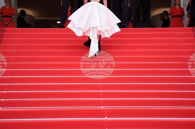 France Cannes 2026 Minotaur Red Carpet