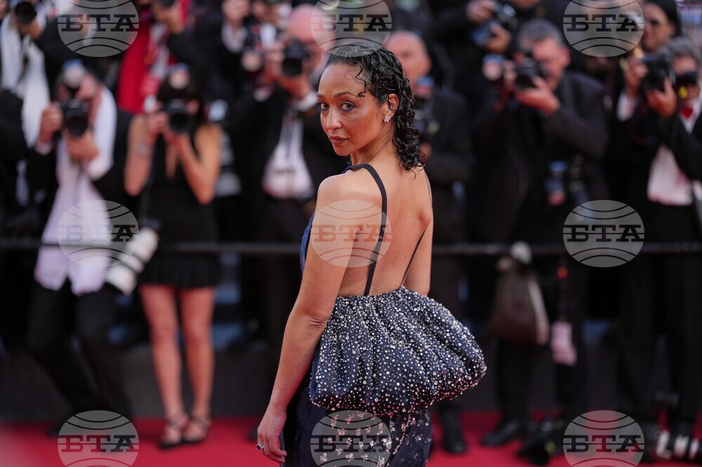 France Cannes 2026 Bitter Christmas Red Carpet