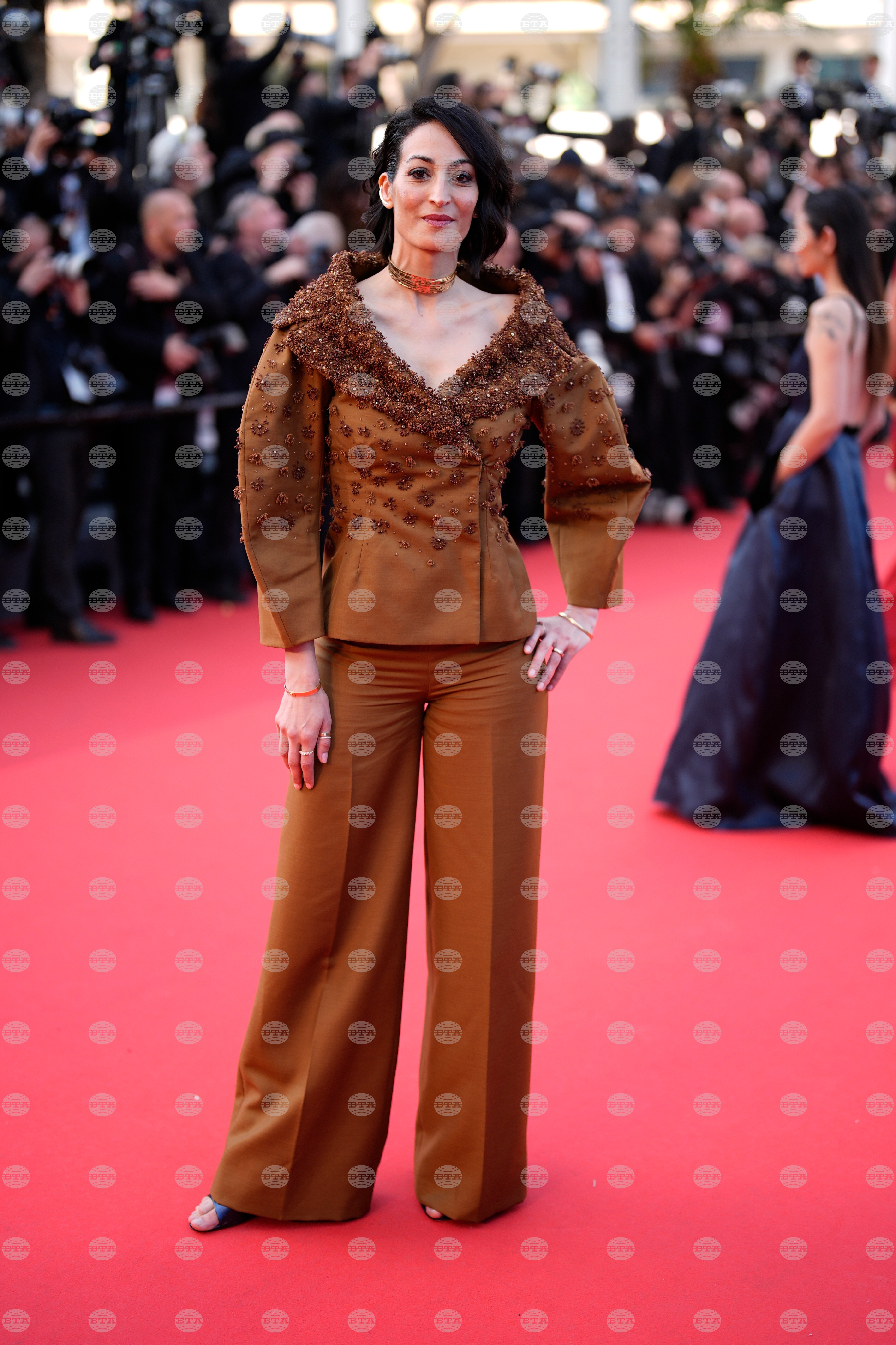 France Cannes 2026 Bitter Christmas Red Carpet