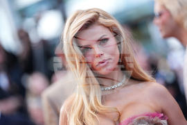 France Cannes 2026 Bitter Christmas Red Carpet