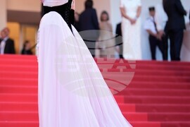 France Cannes 2026 Bitter Christmas Red Carpet