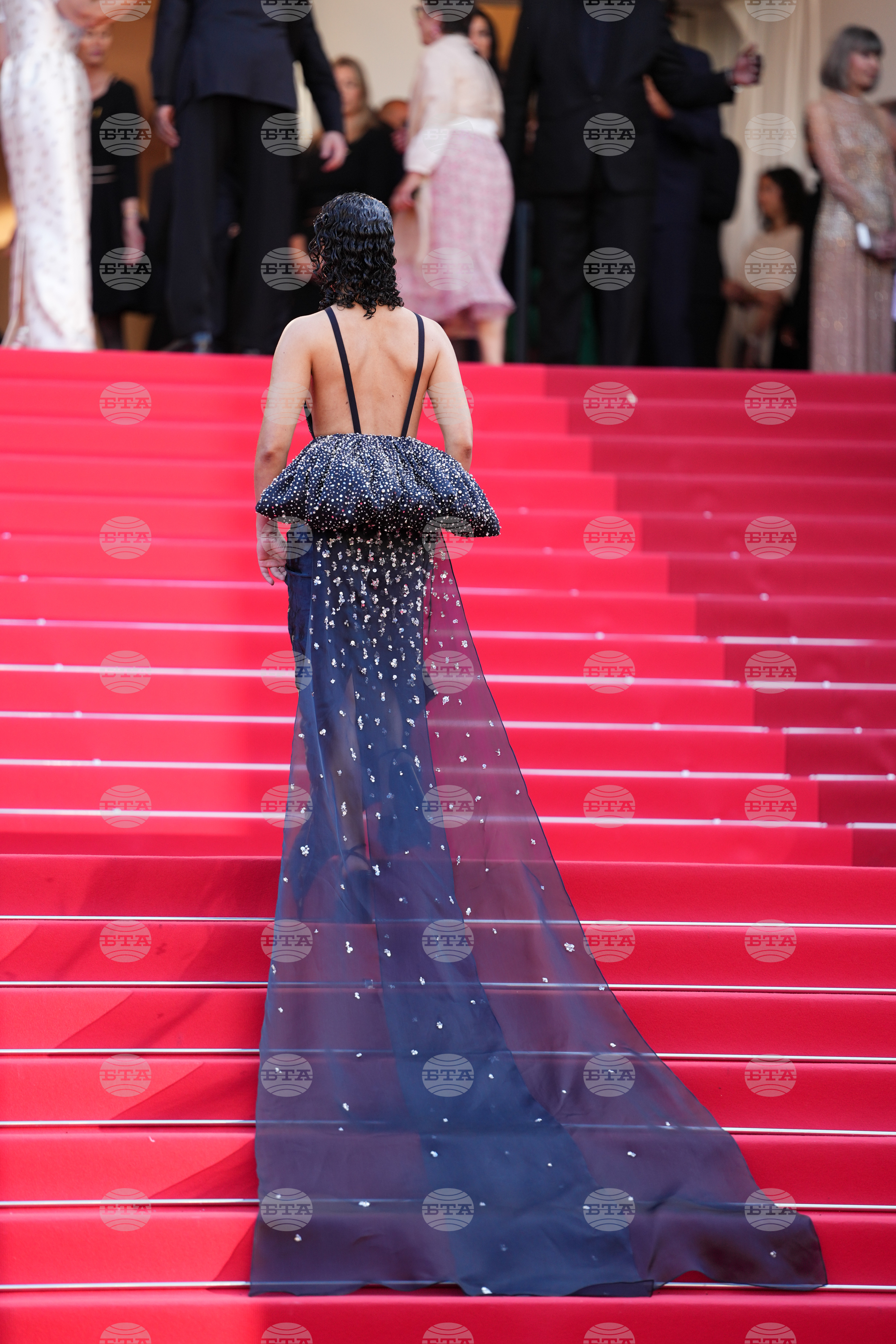 France Cannes 2026 Bitter Christmas Red Carpet