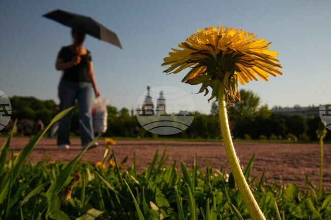 Russia Weather