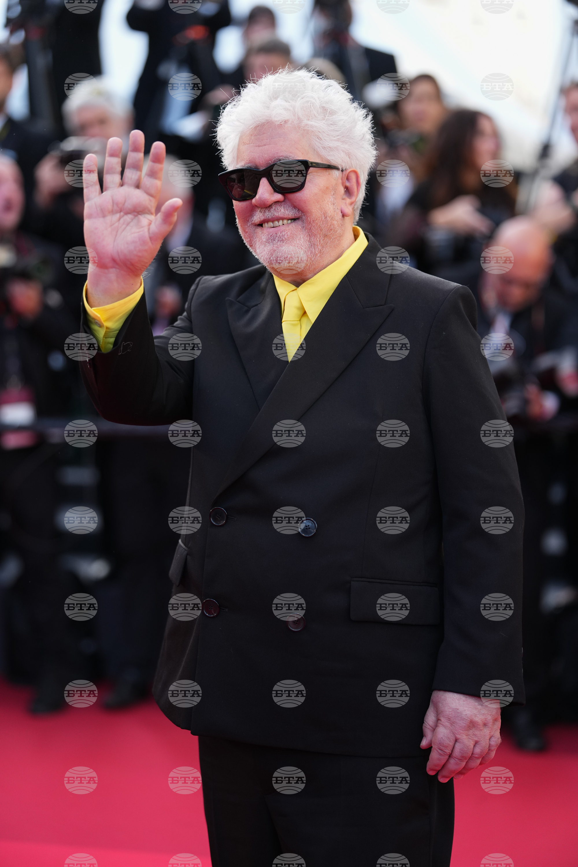 France Cannes 2026 Bitter Christmas Red Carpet