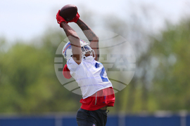 Bills Football