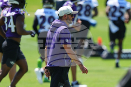 Ravens Football