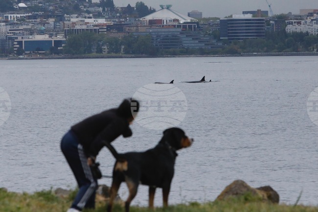 Seattle Daily Life