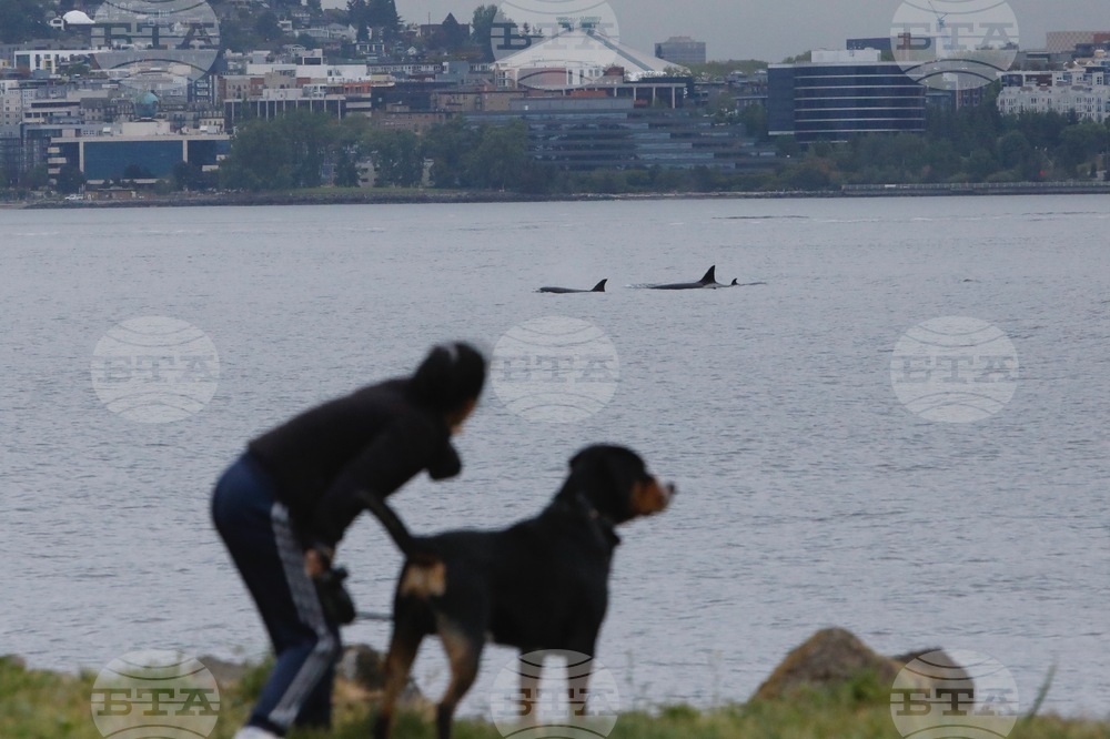 Seattle Daily Life