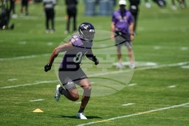 Ravens Football
