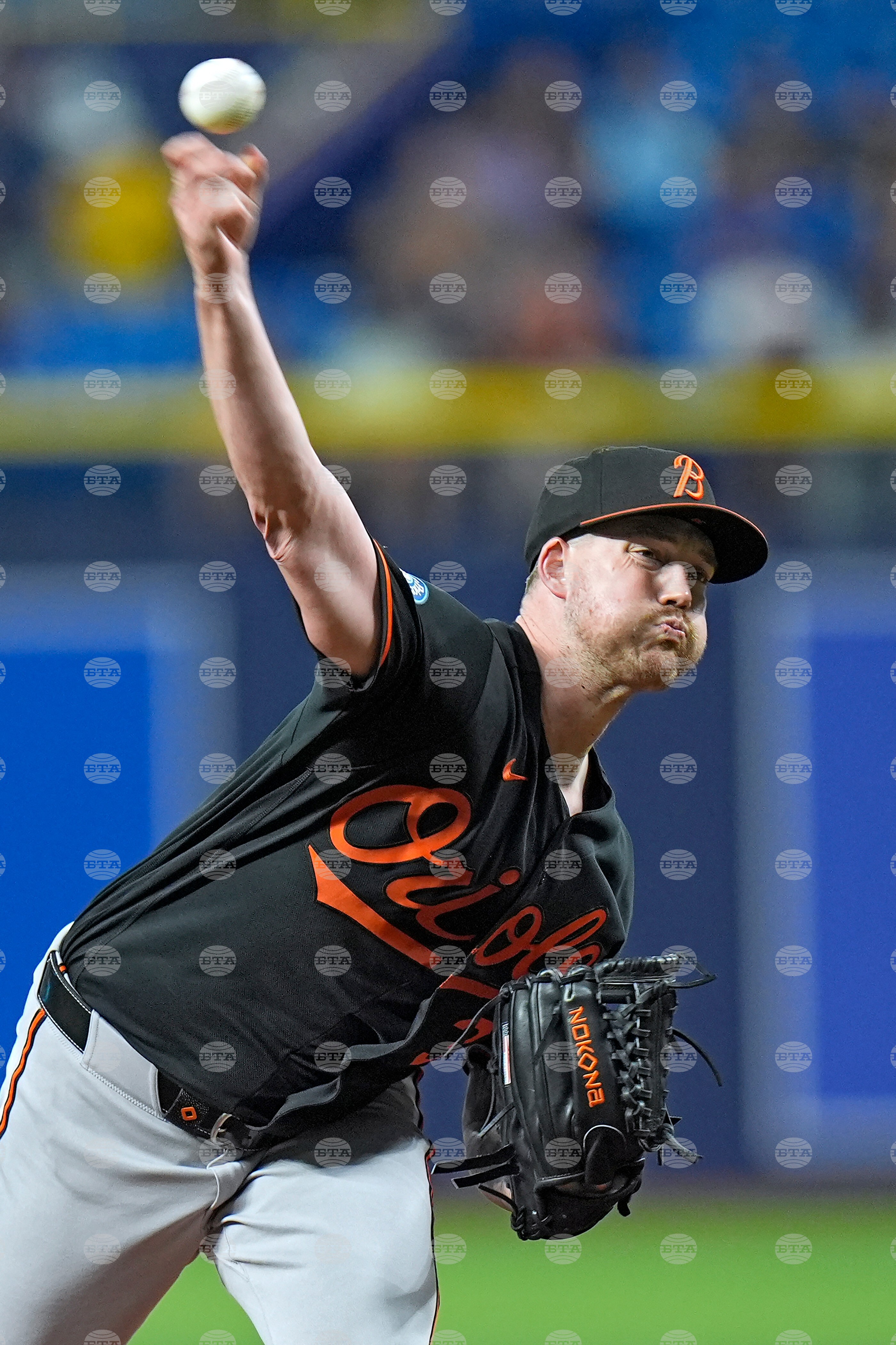 Orioles Rays Baseball