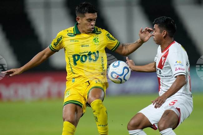 Bolivia Brazil Copa Libertadores Soccer