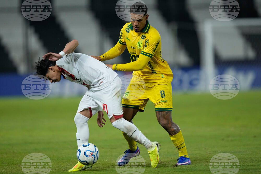 Bolivia Brazil Copa Libertadores Soccer