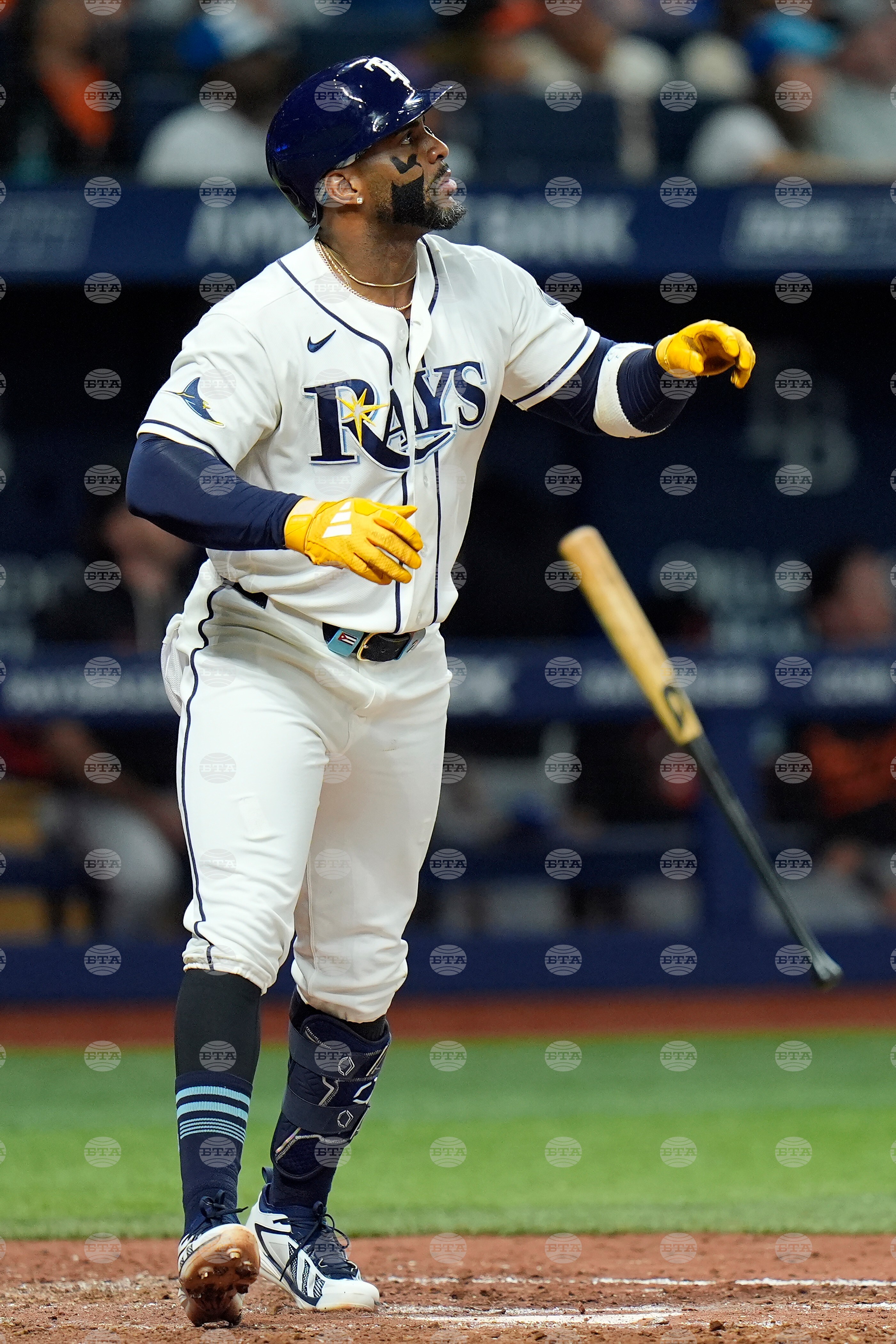 Orioles Rays Baseball