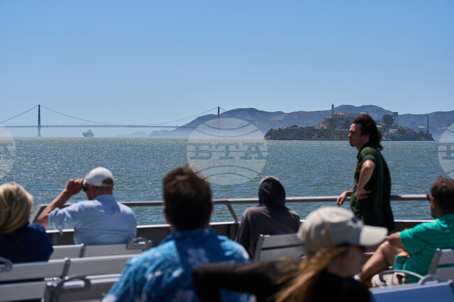 Climate Heat California Whale Death