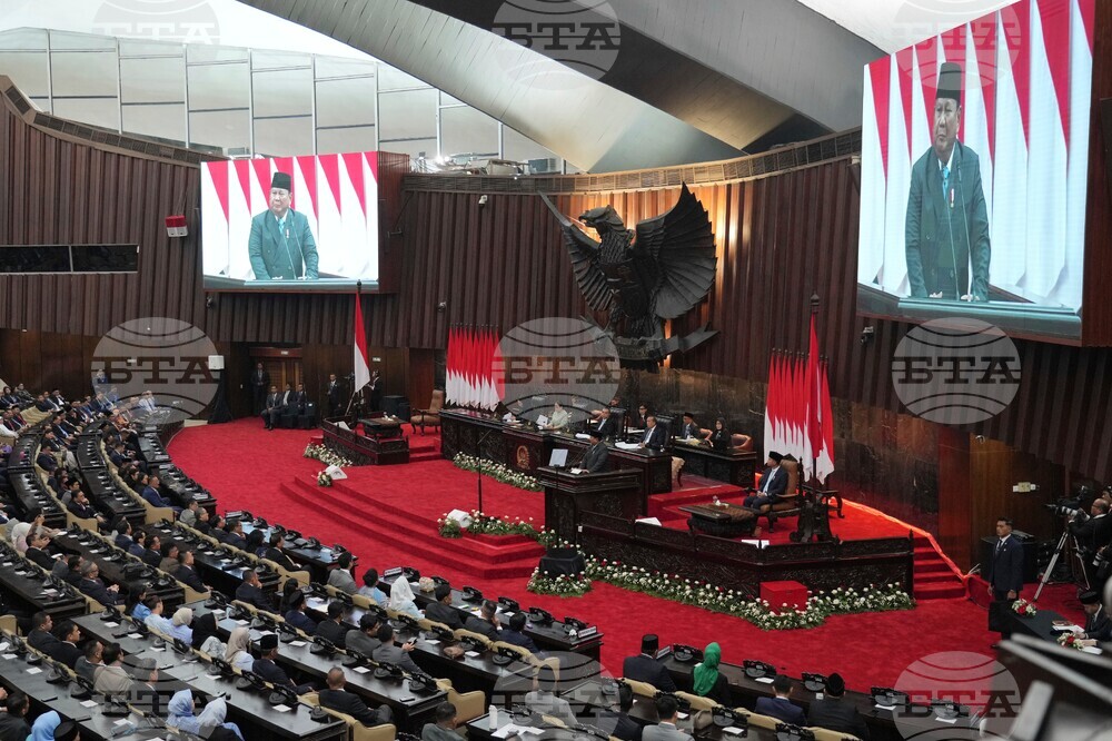 Indonesia Politics