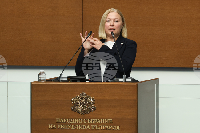 Democratic Bulgaria Declaration: If There Is No Debate, Oversight of Those in Power in Parliament, Democracy Has No Substance