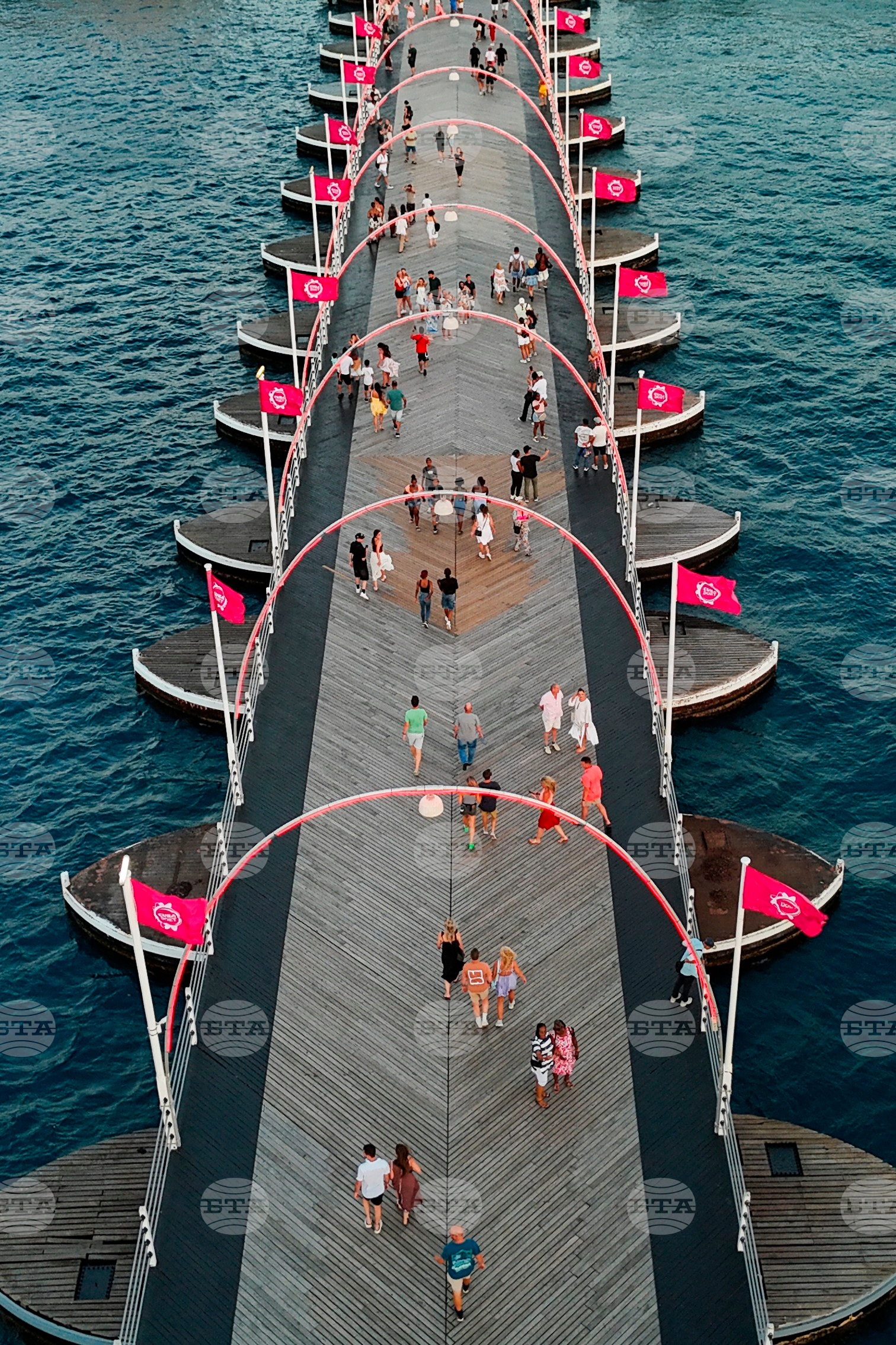 Top Verticals Photo Gallery