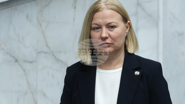 Ruling Majority Backs Two Democratic Bulgaria Election Reform Proposals, DB Floor Leader Says
