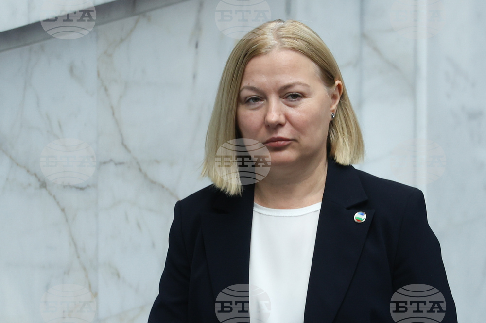Ruling Majority Backs Two Democratic Bulgaria Election Reform Proposals, DB Floor Leader Says