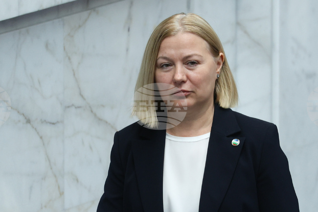 Ruling Majority Backs Two Democratic Bulgaria Election Reform Proposals, DB Floor Leader Says
