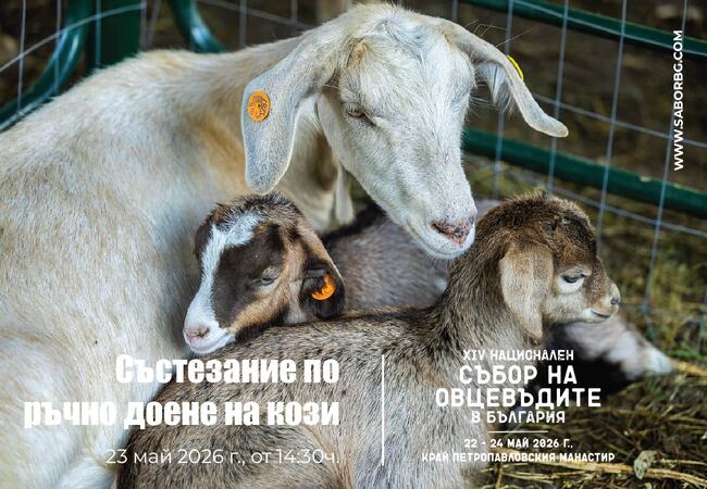 Национален събор на овцевъдите в България: Фермери ще мерят сили в нови и атрактивни състезания на Събора на овцевъдите