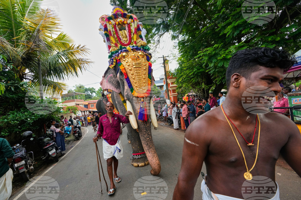 India Elephant Festival