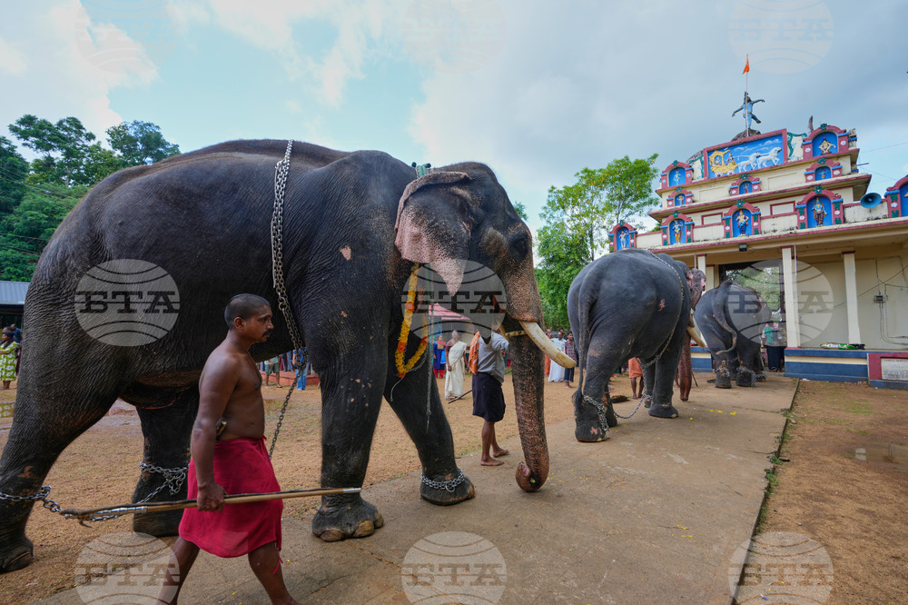 India Elephant Festival