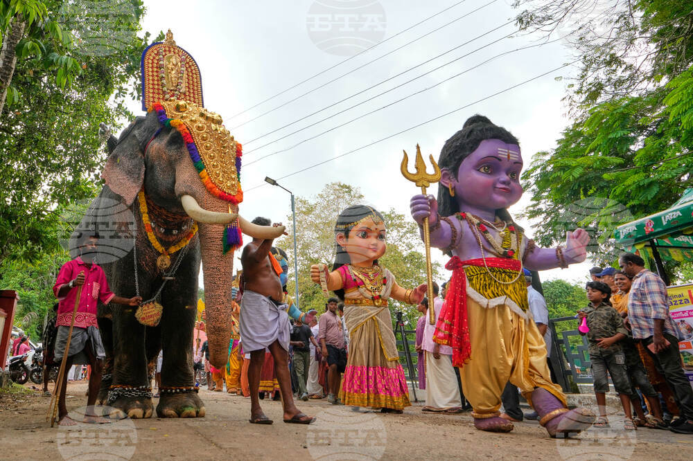 India Elephant Festival