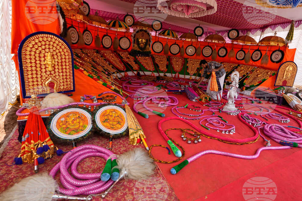 India Elephant Festival