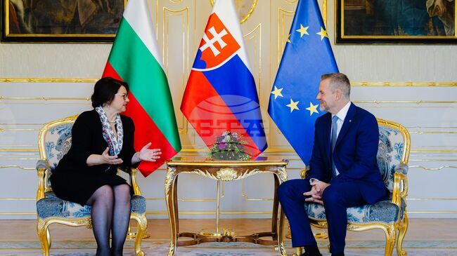 Bulgaria's Ambassador in Bratislava Presents Credentials to Slovak President