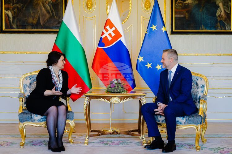 Bulgaria's Ambassador in Bratislava Presents Credentials to Slovak President