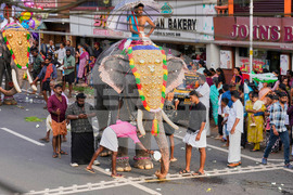 India Elephant Festival