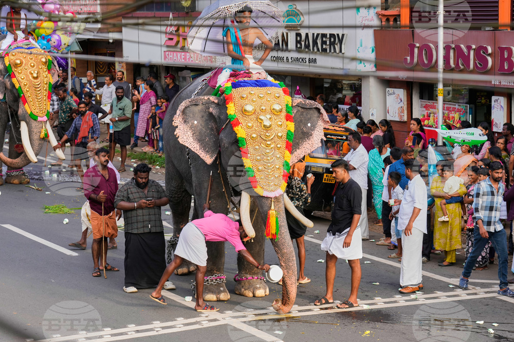 India Elephant Festival