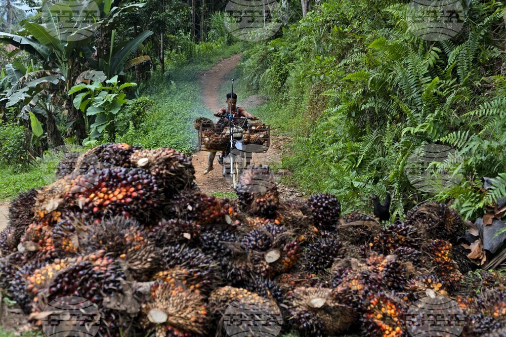 Indonesia Natural Resources