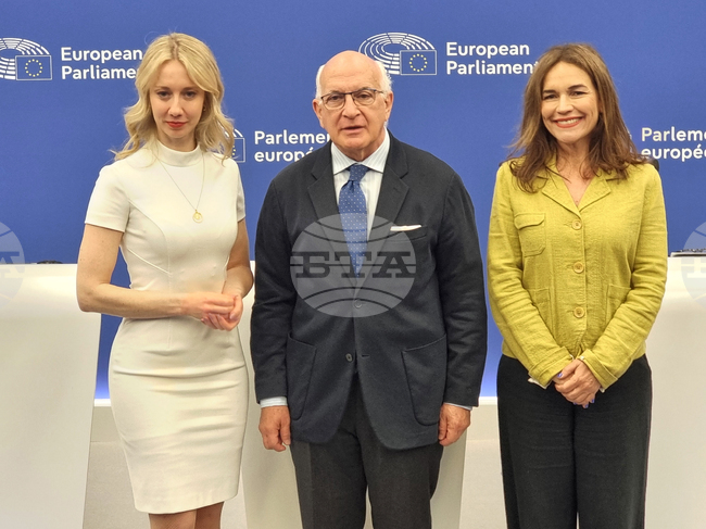 Франция - Страсбург - Европейски парламент - брифинг