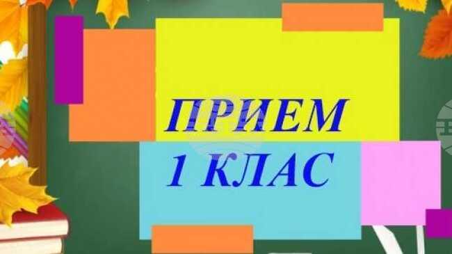 Електронната система за прием в първи клас в общинските училища на територията на Плевен за учебната 2026/2027 г. е отворена