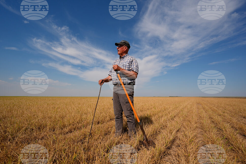 Climate Drought Wheat Farmers